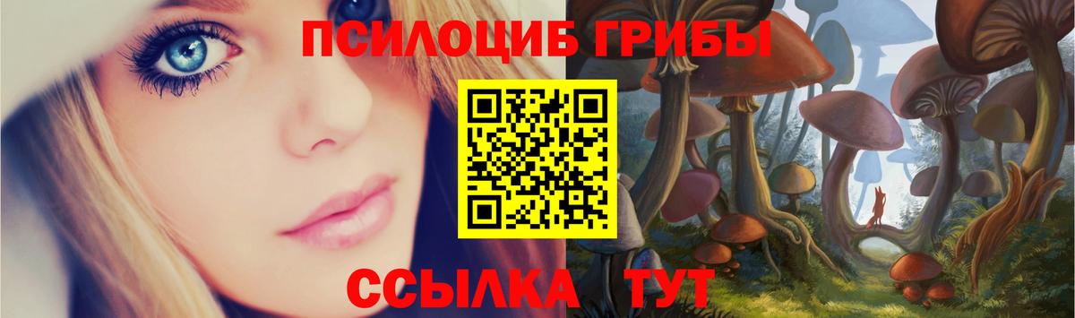 Галлюциногенные грибы мухоморы  Вход с VPN  Псилоцибиновые грибы Psilocybine cubensis  Волхов 